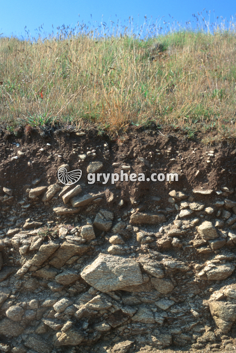 Sol sur granite (Bretagne) - gryphea.org